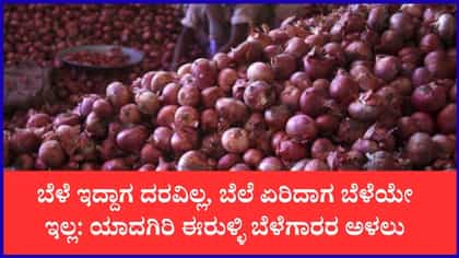 ದರ ಏರಿಕೆಯ ನಡುವೆಯೂ ಸಿಗದ ರೈತರಿಗೆ ಲಾಭ