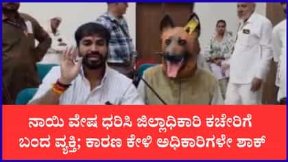 ಶ್ವಾನದ ವೇಷದಲ್ಲೇ ಜಿಲ್ಲಾಧಿಕಾರಿ ಕಚೇರಿಗೆ ಬಂದ ವ್ಯಕ್ತಿ