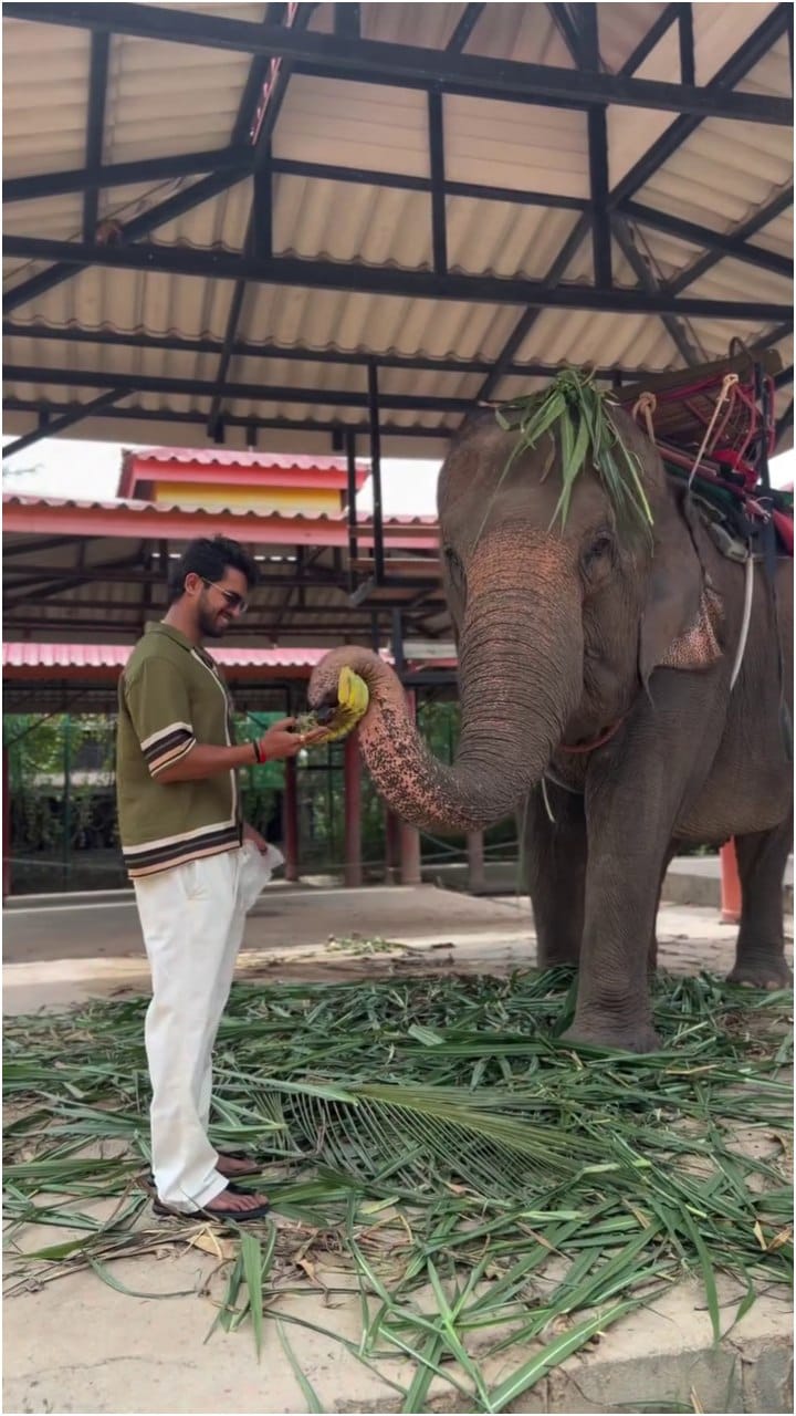 ಆನೆಗೆ ಆಹಾರ ನೀಡಿದ ಕಿರಣ್ ರಾಜ್