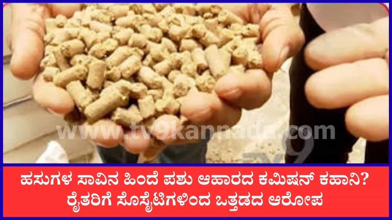 ಅಮಾಯಕ ಪಶುಗಳ ಸಾವಿಗೆ ಪರೋಕ್ಷ ಪ್ರೇರಣೆ? ನಂದಿನಿ ಪಶು ಆಹಾರ ಖರೀದಿಗೆ ರೈತರ ಮೇಲೆ ಒತ್ತಡದ ಆರೋಪ ಅಮಾಯಕ ಪಶುಗಳ ಸಾವಿಗೆ ಪರೋಕ್ಷ ಪ್ರೇರಣೆ? ನಂದಿನಿ ಪಶು ಆಹಾರ ಖರೀದಿಗೆ ರೈತರ ಮೇಲೆ ಒತ್ತಡದ ಆರೋಪ