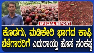 ಮಡಿಕೇರಿ-ಕೊಡಗು ಭಾಗದಲ್ಲಿ ಕಾಫಿ ಬೆಳೆಗಾರರಿಗೆ ಎದುರಾಯ್ತು ಹೊಸ ತಲೆನೋವು: ಕಾಫಿ ಬೆಳೆ ಹಾನಿ ಭೀತಿ