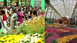 ಮಳೆಯಲ್ಲೂ ಲಾಲ್‌ಬಾಗ್ ಫ್ಲವರ್ ಶೋಗೆ ಭರ್ಜರಿ ಸ್ಪಂದನೆ: ಗಂಗರ ಸುವರ್ಣ ವೈಭವ ಕಣ್ತುಂಬಿಕೊಂಡವರೆಷ್ಟು ಗೊತ್ತಾ?