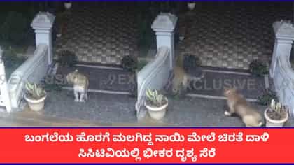 ಬಂಗಲೆಯ ಹೊರಗೆ ಮಲಗಿದ್ದ ನಾಯಿ ಮೇಲೆ ಚಿರತೆ ದಾಳಿ