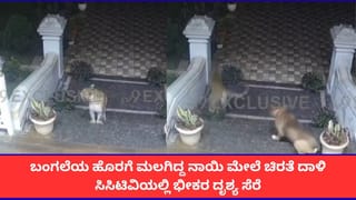 ಬಂಗಲೆಯ ಹೊರಗೆ ಮಲಗಿದ್ದ ನಾಯಿ ಮೇಲೆ ಚಿರತೆ ದಾಳಿ; ಸಿಸಿಟಿವಿಯಲ್ಲಿ ಭೀಕರ ದೃಶ್ಯ ಸೆರೆ