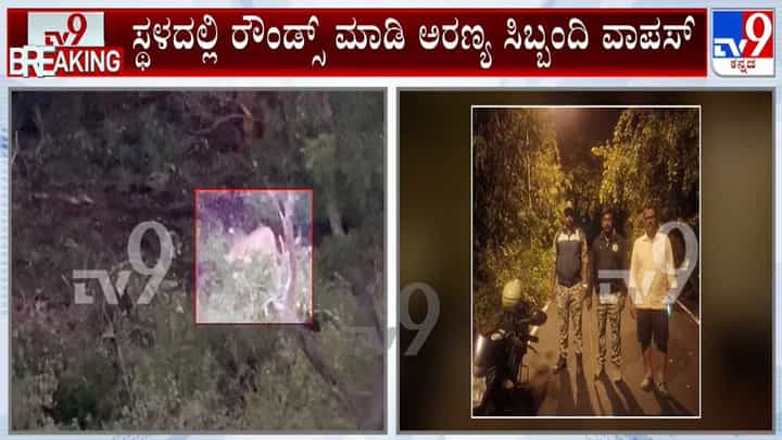 Leopard Spotted In Bengaluru: ಬನಶಂಕರಿಯಲ್ಲಿ ನಿನ್ನೆ ಸಂಜೆ ಮತ್ತೆ ಚಿರತೆ ಪ್ರತ್ಯಕ್ಷ ಇಂದು ಕಾರ್ಯಾಚರಣೆ Leopard Spotted In Bengaluru: ಬನಶಂಕರಿಯಲ್ಲಿ ನಿನ್ನೆ ಸಂಜೆ ಮತ್ತೆ ಚಿರತೆ ಪ್ರತ್ಯಕ್ಷ ಇಂದು ಕಾರ್ಯಾಚರಣೆ