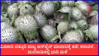 ವಿಷಕಾರಿ ದತ್ತೂರಿ ಹಣ್ಣು ಆನ್‌ಲೈನ್ ಮಾರಾಟಕ್ಕೆ ತಡೆ