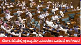 ಚರ್ಚೆಯಿಲ್ಲದೆ ಲೋಕಸಭೆಯಲ್ಲಿ ಟ್ರಿಬ್ಯೂನಲ್ ಸುಧಾರಣಾ ಮಸೂದೆ ಅಂಗೀಕಾರ