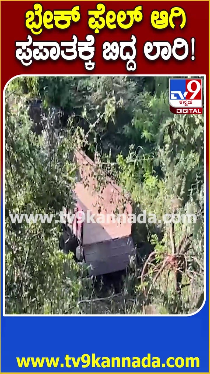 ಬ್ರೇಕ್ ಫೇಲ್ ಆಗಿ ಪ್ರಪಾತಕ್ಕೆ ಬಿದ್ದ ಲಾರಿ