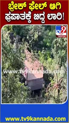ಬ್ರೇಕ್ ಫೇಲ್ ಆಗಿ ಪ್ರಪಾತಕ್ಕೆ ಬಿದ್ದ ಲಾರಿ