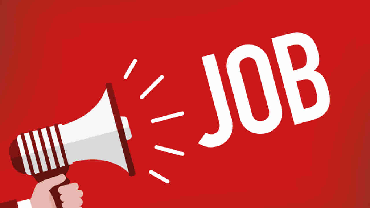 IBPS CSA Recruitment 2026: ಬ್ಯಾಂಕಿಂಗ್ ಕ್ಷೇತ್ರದಲ್ಲಿ 11,403 ಹುದ್ದೆಗಳ ಬಂಪರ್ ನೇಮಕಾತಿ; ಕರ್ನಾಟಕದಲ್ಲೇ 1,414 ಹುದ್ದೆಗಳು!