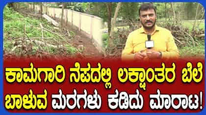 ಬಿಜೆಪಿ ಮುಖಂಡರು, ಪಾಲಿಕೆ ಅಧಿಕಾರಿ ವಿರುದ್ಧ ಮರಗಳ್ಳತನ ಆರೋಪ
