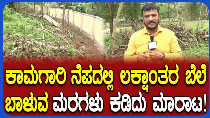 ಬಿಜೆಪಿ ಮುಖಂಡರು, ಪಾಲಿಕೆ ಅಧಿಕಾರಿ ವಿರುದ್ಧ ಮರಗಳ್ಳತನ ಆರೋಪ: ಕಾಂಗ್ರೆಸ್ನಿಂದ ದೂರು ಬಿಜೆಪಿ ಮುಖಂಡರು, ಪಾಲಿಕೆ ಅಧಿಕಾರಿ ವಿರುದ್ಧ ಮರಗಳ್ಳತನ ಆರೋಪ: ಕಾಂಗ್ರೆಸ್ನಿಂದ ದೂರು