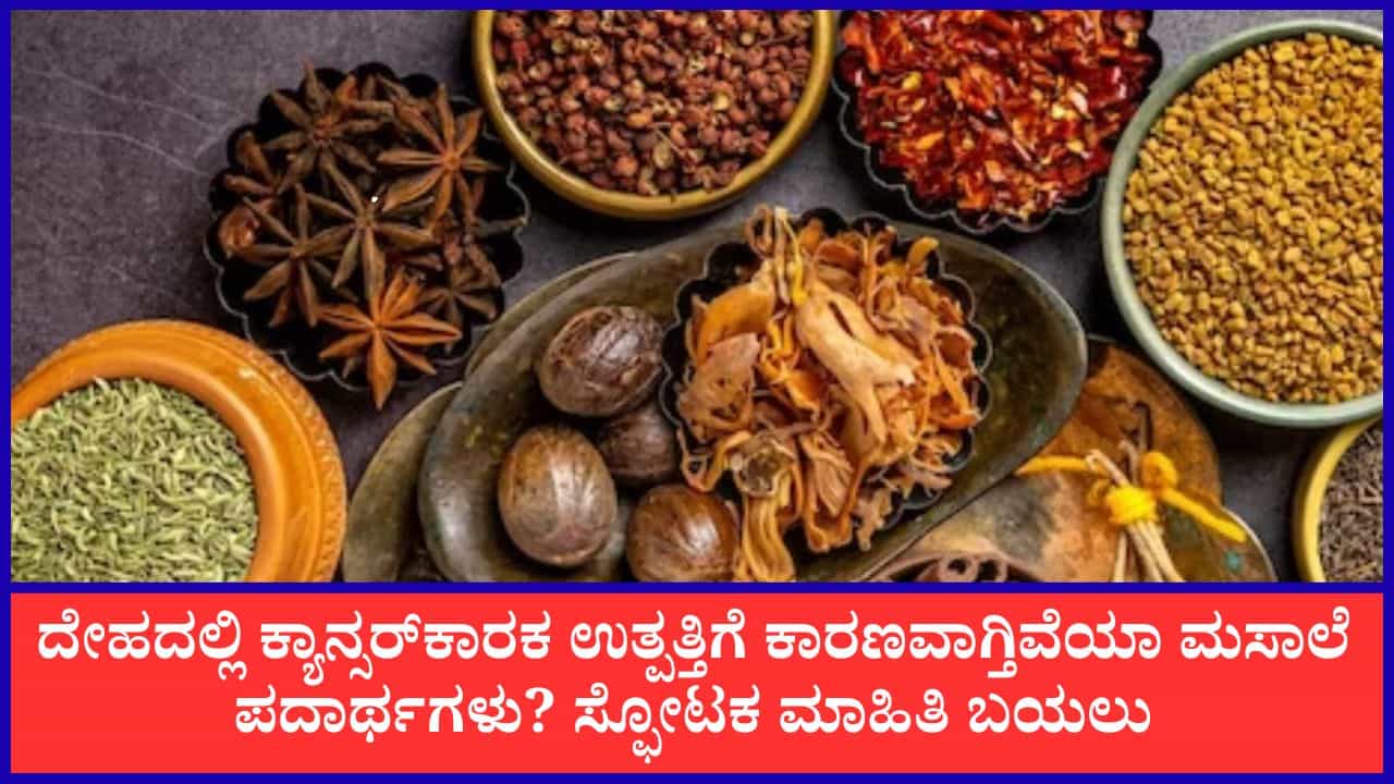 ಮಸಾಲೆ ಪದಾರ್ಥಗಳಲ್ಲೂ ಕಲಬೆರಕೆ: ಕರ್ನಾಟಕದ ಮನವಿ ಮೇರೆಗೆ EtO ಬಳಕೆಗೆ ಬ್ರೇಕ್ ಹಾಕಲು ಸಮಿತಿ ರಚಿಸಿದ ಕೇಂದ್ರ