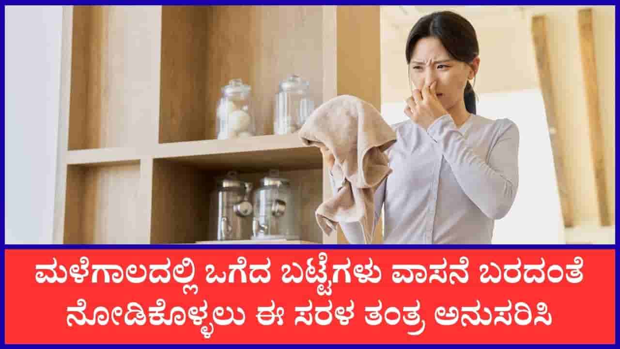 Monsoon Laundry Tips: ಮಳೆಗಾಲದಲ್ಲಿ ಒಗೆದ ಬಟ್ಟೆಗಳ ಕೆಟ್ಟ ವಾಸನೆಯನ್ನು ಹೋಗಲಾಡಿಸಲು ಈ ತಂತ್ರ ಪಾಲಿಸಿ
