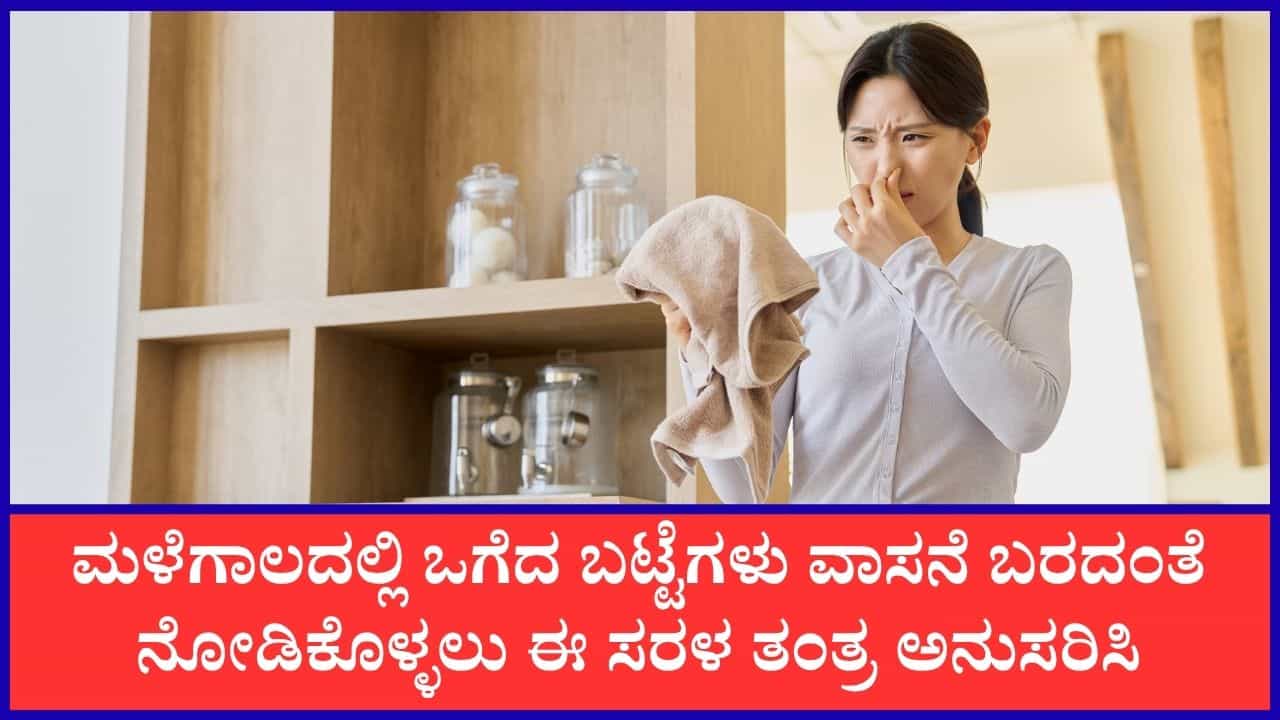 Monsoon Laundry Tips: ಮಳೆಗಾಲದಲ್ಲಿ ಒಗೆದ ಬಟ್ಟೆಗಳ ಕೆಟ್ಟ ವಾಸನೆಯನ್ನು ಹೋಗಲಾಡಿಸಲು ಈ ತಂತ್ರ ಪಾಲಿಸಿ Monsoon Laundry Tips: ಮಳೆಗಾಲದಲ್ಲಿ ಒಗೆದ ಬಟ್ಟೆಗಳ ಕೆಟ್ಟ ವಾಸನೆಯನ್ನು ಹೋಗಲಾಡಿಸಲು ಈ ತಂತ್ರ ಪಾಲಿಸಿ
