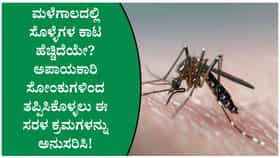 ಮಳೆಗಾಲದಲ್ಲಿ ಸೊಳ್ಳೆಗಳ ನಿಯಂತ್ರಣ ಮಾಡಲು ತಜ್ಞರು ನೀಡಿರುವ ಪ್ರಮುಖ ಸಲಹೆಗಳು