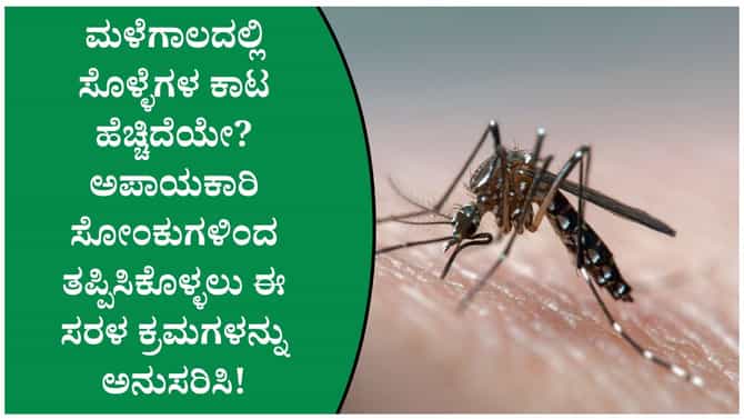 ಮಳೆಗಾಲದಲ್ಲಿ ಸೊಳ್ಳೆಗಳ ನಿಯಂತ್ರಣ ಮಾಡಲು ತಜ್ಞರು ನೀಡಿರುವ ಪ್ರಮುಖ ಸಲಹೆಗಳು