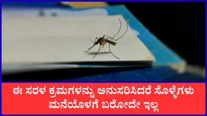 ಸೊಳ್ಳೆಗಳು ಮನೆಯೊಳಗೆ ಪ್ರವೇಶಿಸುವುದನ್ನು ತಡೆಯುವ ಮಾರ್ಗಗಳು
