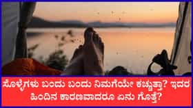 ಸೊಳ್ಳೆಗಳು ಕೆಲ ಜನರಿಗೆ ಏಕೆ ಹೆಚ್ಚು ಕಚ್ಚುತ್ತವೆ?