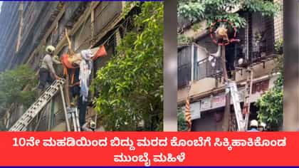 ಮುಂಬೈನಲ್ಲಿ 10ನೇ ಮಹಡಿಯಿಂದ ಜಿಗಿದ ಮಹಿಳೆಯ ಜೀವ ಕಾಪಾಡಿತು ಮರದ ಕೊಂಬೆ!