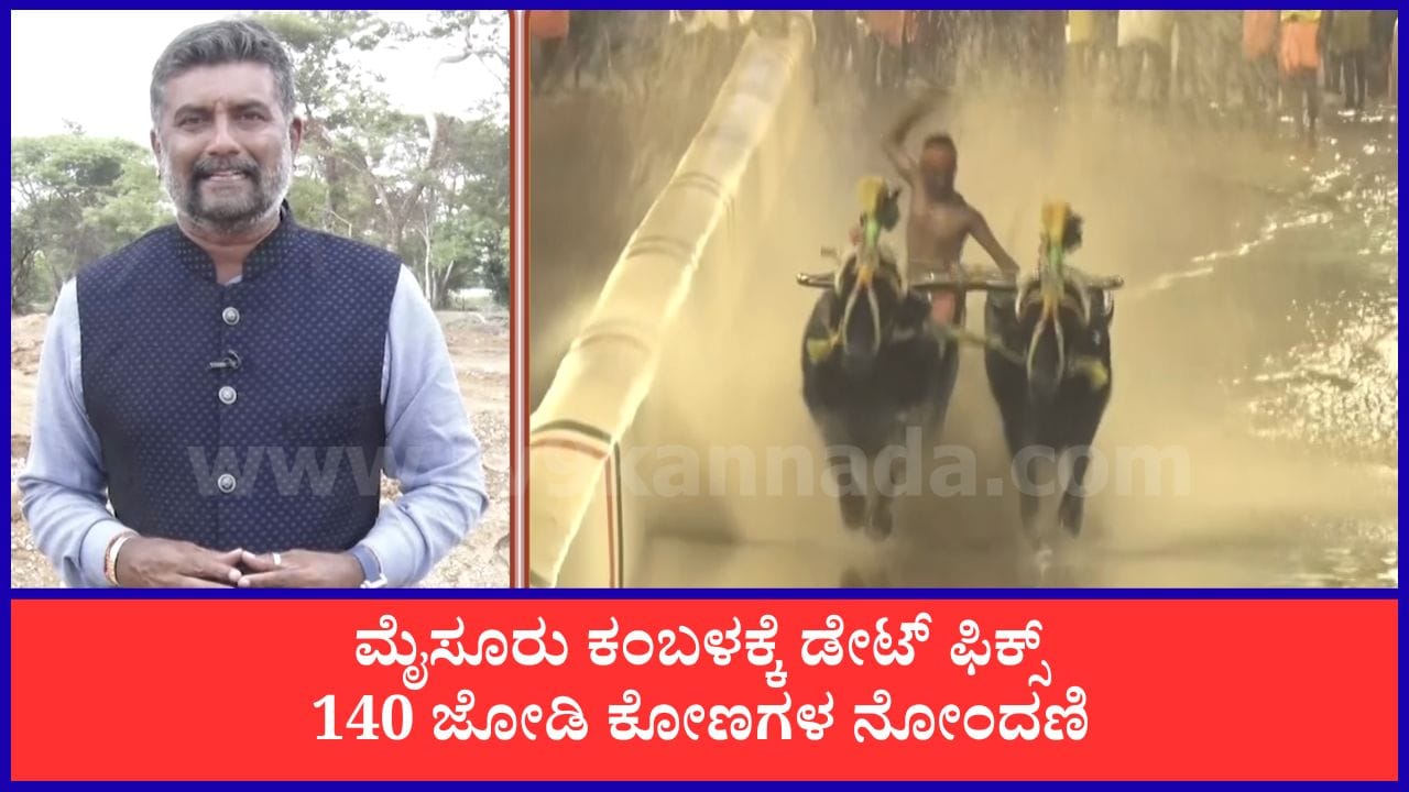 ಮೈಸೂರು ದಸರಾದಲ್ಲಿ ಕಂಬಳ: ತೀವ್ರ ವಿರೋಧದ ನಡುವೆಯೂ ಸಿದ್ಧತೆ ಭರದಿಂದ ಸಾಗುತ್ತಿದೆ