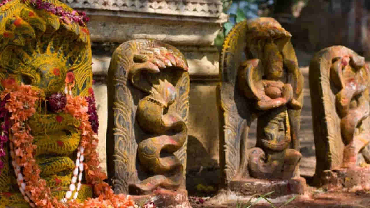 Naga Panchami 2026: ಕಾಲಸರ್ಪ ದೋಷ ನಿವಾರಣೆಗೆ ಈ ಸರಳ ಪರಿಹಾರ ತಪ್ಪದೇ ಮಾಡಿ!