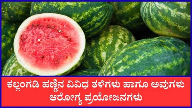 ಕಲ್ಲಂಗಡಿ ಹಣ್ಣಿನ ವಿವಿಧ ತಳಿಗಳು