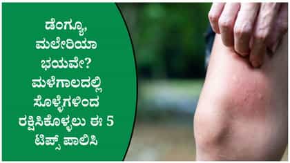 ಸೊಳ್ಳೆಗಳು ಬರದಂತೆ ತಡೆಯಲು ಈ 5 ನೈಸರ್ಗಿಕ ವಿಧಾನ ಟ್ರೈ ಮಾಡಿ