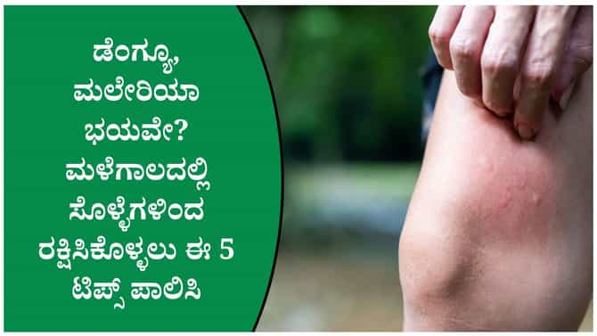 ಸೊಳ್ಳೆಗಳು ಬರದಂತೆ ತಡೆಯಲು ಈ 5 ನೈಸರ್ಗಿಕ ವಿಧಾನ ಟ್ರೈ ಮಾಡಿ