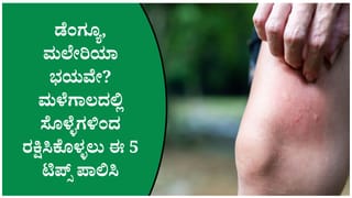 ಸೊಳ್ಳೆಗಳು ಬರದಂತೆ ತಡೆಯಲು ಈ 5 ನೈಸರ್ಗಿಕ ವಿಧಾನ ಟ್ರೈ ಮಾಡಿ