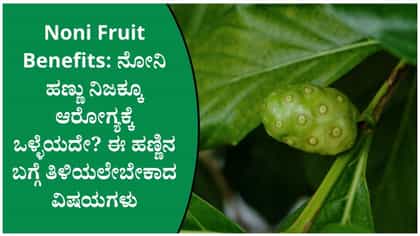 ನೋನಿ ಹಣ್ಣು ನಿಜಕ್ಕೂ ಆರೋಗ್ಯಕ್ಕೆ ಒಳ್ಳೆಯದೇ?