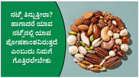 ಆರೋಗ್ಯಕ್ಕೆ ಯಾವ ನಟ್ಸ್‌ ಹೆಚ್ಚು ಪ್ರಯೋಜನಕಾರಿ?