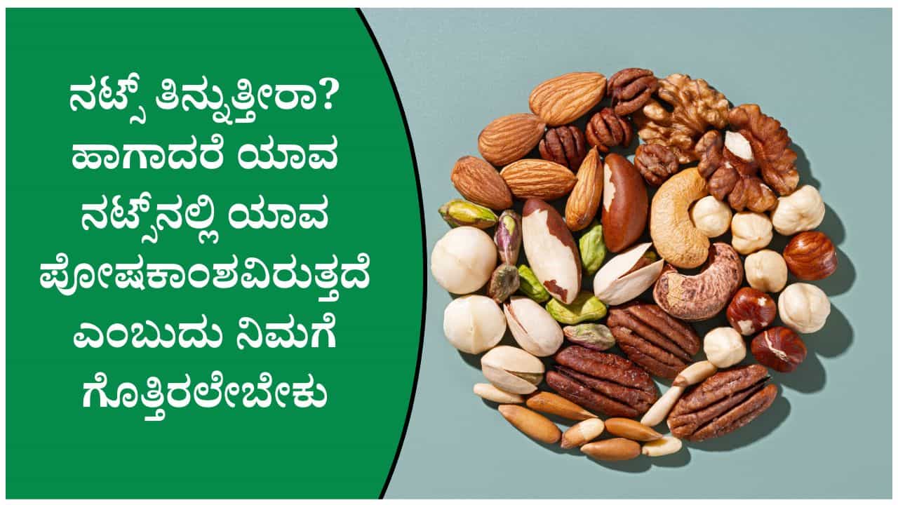 ಬಾದಾಮಿಯಿಂದ ಕಡಲೆಕಾಯಿವರೆಗೆ: ಯಾವ ನಟ್ಸ್ನಲ್ಲಿ ಯಾವ ಪೋಷಕಾಂಶ ಹೆಚ್ಚಾಗಿರುತ್ತೆ ತಿಳಿದುಕೊಳ್ಳಿ ಬಾದಾಮಿಯಿಂದ ಕಡಲೆಕಾಯಿವರೆಗೆ: ಯಾವ ನಟ್ಸ್ನಲ್ಲಿ ಯಾವ ಪೋಷಕಾಂಶ ಹೆಚ್ಚಾಗಿರುತ್ತೆ ತಿಳಿದುಕೊಳ್ಳಿ