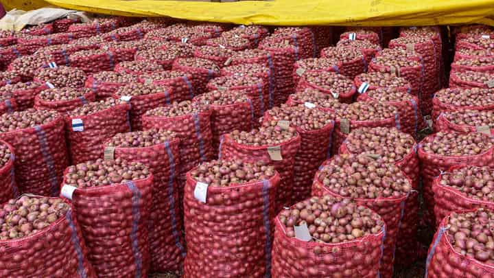ಗ್ರಾಹಕರಿಗೆ ಕಣ್ಣೀರು ತರಿಸಿದ ಈರುಳ್ಳಿ ದರ: ಕೆಜಿಗೆ ನೂರು ರೂಪಾಯಿಯತ್ತ ಮುನ್ನುಗ್ಗುತ್ತಿದೆ ಬೆಲೆ! ಗ್ರಾಹಕರಿಗೆ ಕಣ್ಣೀರು ತರಿಸಿದ ಈರುಳ್ಳಿ ದರ: ಕೆಜಿಗೆ ನೂರು ರೂಪಾಯಿಯತ್ತ ಮುನ್ನುಗ್ಗುತ್ತಿದೆ ಬೆಲೆ!