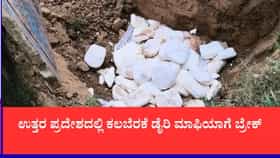 ಮಥುರಾದಲ್ಲಿ ನಕಲಿ ಪನೀರ್ ದಂಧೆ ಬೇಧಿಸಿದ ಅಧಿಕಾರಿಗಳು