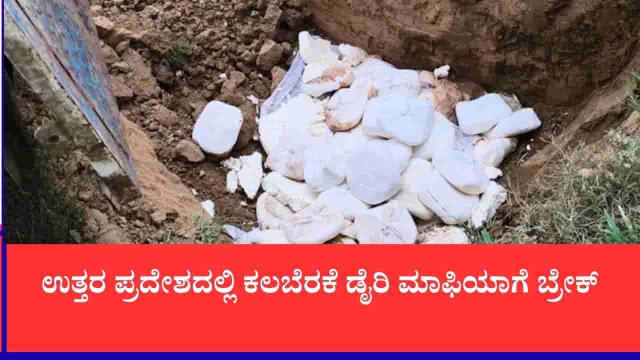 ಮಥುರಾದಲ್ಲಿ ನಕಲಿ ಪನೀರ್ ದಂಧೆ ಬೇಧಿಸಿದ ಅಧಿಕಾರಿಗಳು: 500 ಕೆಜಿ ಕಲುಷಿತ ಪನೀರ್ ನಾಶ, ಅಪಾಯಕಾರಿ ಕೆಮಿಕಲ್ ಜಪ್ತಿ