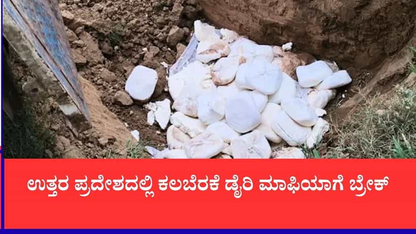 ಮಥುರಾದಲ್ಲಿ ನಕಲಿ ಪನೀರ್ ದಂಧೆ ಬೇಧಿಸಿದ ಅಧಿಕಾರಿಗಳು: 500 ಕೆಜಿ ಕಲುಷಿತ ಪನೀರ್ ನಾಶ, ಅಪಾಯಕಾರಿ ಕೆಮಿಕಲ್ ಜಪ್ತಿ