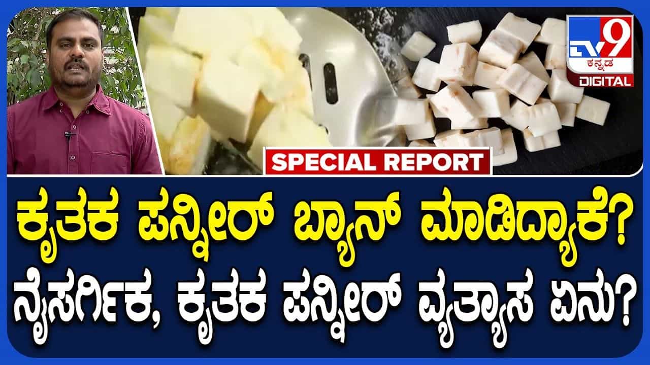 ಕರ್ನಾಟಕದಲ್ಲಿ ಕೃತಕ ಪನ್ನೀರ್ ಬ್ಯಾನ್ ಯಾಕೆ? ಏನಿದು ಅನಲಾಗ್ ಪನ್ನೀರ್? ಯಾವುದರಿಂದ ತಯಾರು ಮಾಡ್ತಾರೆ?