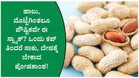 ಜಂಕ್ ಫುಡ್ ಬದಲು ಸಂಜೆ ಈ ಸ್ನ್ಯಾಕ್ ಟ್ರೈ ಮಾಡಿ