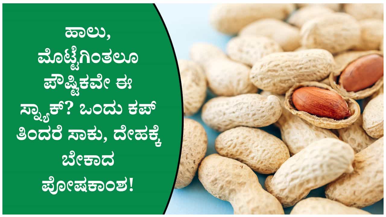 ಜಂಕ್ ಫುಡ್ ಬದಲು ಸಂಜೆ ಈ ಸ್ನ್ಯಾಕ್ ಟ್ರೈ ಮಾಡಿ.. ಕಡಲೆಕಾಯಿ, ಈರುಳ್ಳಿ, ಟೊಮ್ಯಾಟೊದ ಹೆಲ್ತಿ ಕಾಂಬಿನೇಷನ್ ಜಂಕ್ ಫುಡ್ ಬದಲು ಸಂಜೆ ಈ ಸ್ನ್ಯಾಕ್ ಟ್ರೈ ಮಾಡಿ.. ಕಡಲೆಕಾಯಿ, ಈರುಳ್ಳಿ, ಟೊಮ್ಯಾಟೊದ ಹೆಲ್ತಿ ಕಾಂಬಿನೇಷನ್