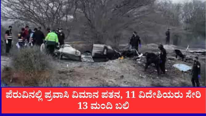ಪೆರುವಿನ ನಾಜ್ಕಾ ಲೈನ್ಸ್ ಬಳಿ ಪ್ರವಾಸಿ ವಿಮಾನ ಪತನ