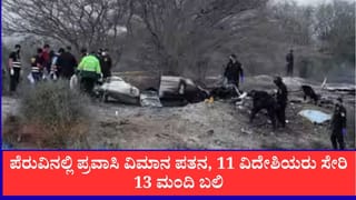 Plane Crash: ಪೆರುವಿನ ನಾಜ್ಕಾ ಲೈನ್ಸ್ ಬಳಿ ಪ್ರವಾಸಿ ವಿಮಾನ ಪತನ: 11 ವಿದೇಶಿಯರು ಸೇರಿ ಎಲ್ಲಾ 13 ಮಂದಿ ದಾರುಣ ಸಾವು
