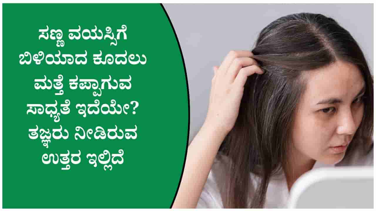 ಕೂದಲು ಬೇಗ ಬಿಳಿಯಾಗುವುದಕ್ಕೆ ಈ ವಿಟಮಿನ್ ಕೊರತೆಯೂ ಕಾರಣವಾಗಿರಬಹುದು!