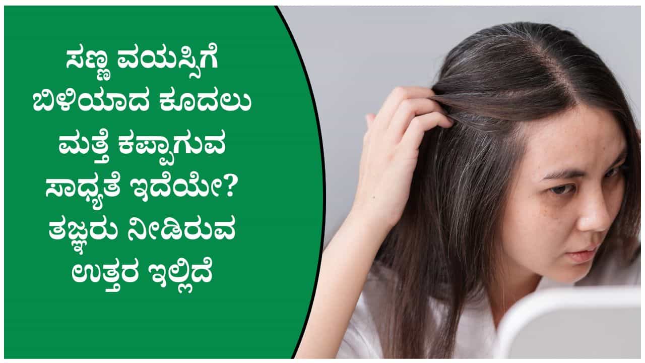 ಕೂದಲು ಬೇಗ ಬಿಳಿಯಾಗುವುದಕ್ಕೆ ಈ ವಿಟಮಿನ್ ಕೊರತೆಯೂ ಕಾರಣವಾಗಿರಬಹುದು! ಕೂದಲು ಬೇಗ ಬಿಳಿಯಾಗುವುದಕ್ಕೆ ಈ ವಿಟಮಿನ್ ಕೊರತೆಯೂ ಕಾರಣವಾಗಿರಬಹುದು!