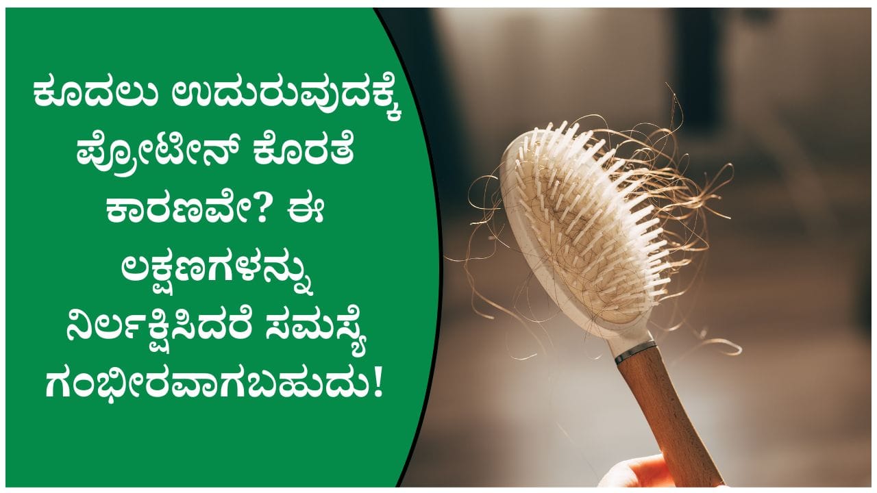 ಕೂದಲು ಉದುರುವಿಕೆಗೆ ಪ್ರೋಟೀನ್ ಕೊರತೆಯೇ ಕಾರಣವೇ? ತಜ್ಞರ ವಿವರಣೆ