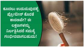 ಕೂದಲು ಉದುರುವುದಕ್ಕೆ ಪ್ರೋಟೀನ್ ಕೊರತೆಯೇ ಕಾರಣವೇ?