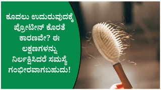 ಪ್ರೋಟೀನ್ ಕೊರತೆಯಿಂದ ಕೂದಲು ಉದುರುತ್ತದೆಯೇ? ತಜ್ಞರು ನೀಡಿದ ವಿವರಣೆ ಇಲ್ಲಿದೆ