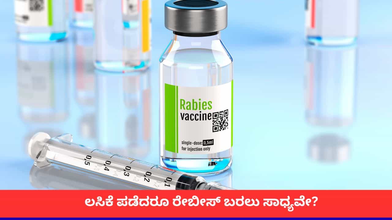 Rabies Vaccine: ಭಾರತದಲ್ಲಿ ಹೆಚ್ಚುತ್ತಲೇ ಇದೆ ನಾಯಿ ಕಚ್ಚುವಿಕೆ; ಲಸಿಕೆ ಪಡೆದರೂ ರೇಬೀಸ್ ಬರಲು ಸಾಧ್ಯವೇ? Rabies Vaccine: ಭಾರತದಲ್ಲಿ ಹೆಚ್ಚುತ್ತಲೇ ಇದೆ ನಾಯಿ ಕಚ್ಚುವಿಕೆ; ಲಸಿಕೆ ಪಡೆದರೂ ರೇಬೀಸ್ ಬರಲು ಸಾಧ್ಯವೇ?