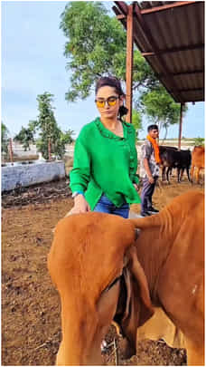 ಗೋಶಾಲೆಯಲ್ಲಿ ರಾಗಿಣಿ ಕಳೆದ ಸುಂದರ ಕ್ಷಣಗಳು