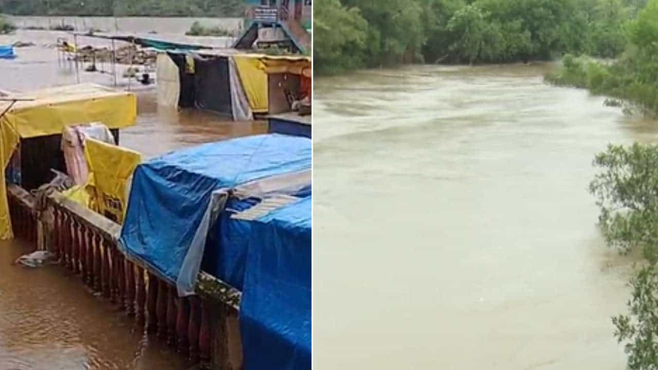 ಚಿಕ್ಕಮಗಳೂರಿನಲ್ಲಿ ಮಳೆ ಆರ್ಭಟ: ತುಂಗಾ, ಭದ್ರಾ ಅಬ್ಬರಕ್ಕೆ ಹೊಲ-ಗದ್ದೆಗಳು ಜಲಾವೃತ